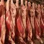  мясо говядины охлажденное в полутушах в Ярославле и Ярославской области