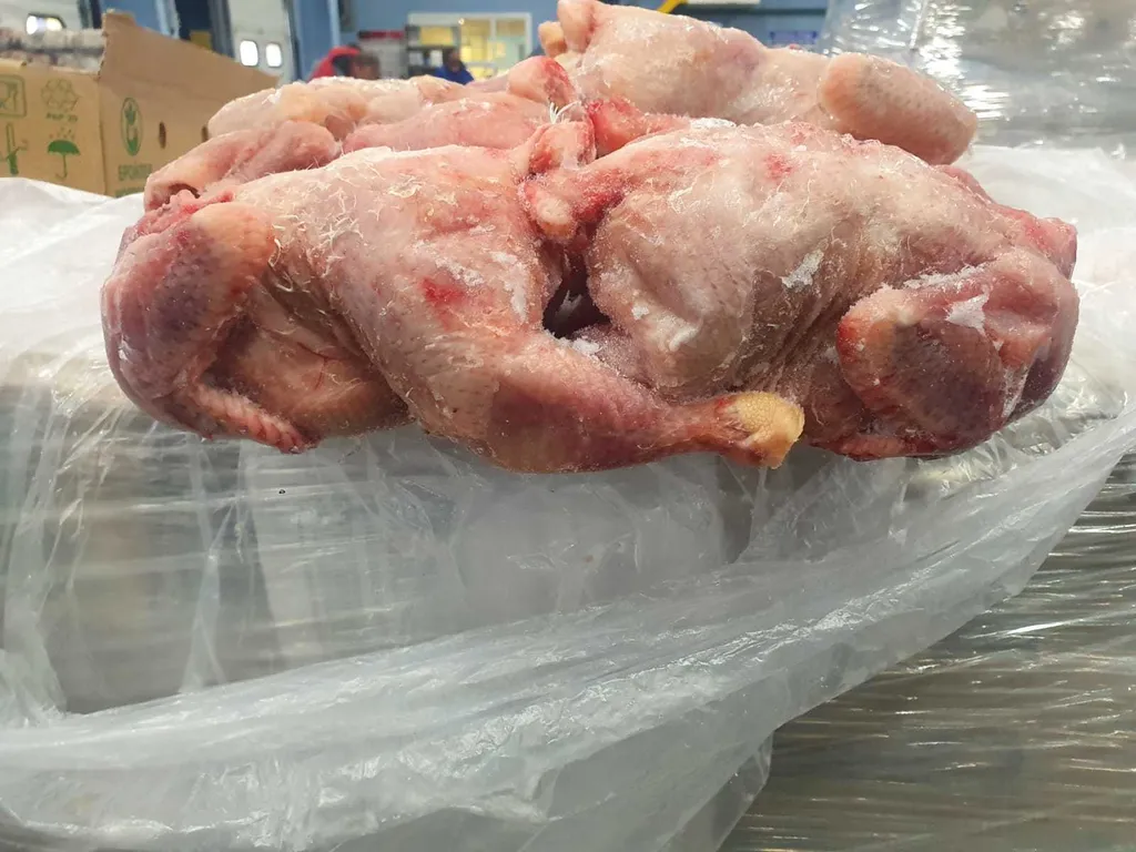 фотография продукта Курица замороженная, окорок, бедро крыло